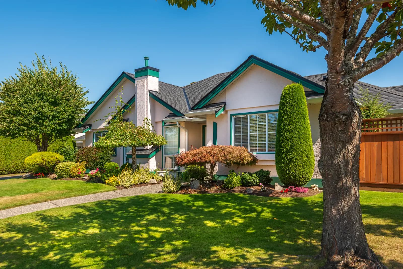 A green neighborhood home surrounded by mature landscaping