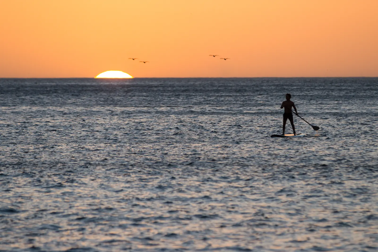 A paddleboarder silhouetted on open Pacific water at sunset