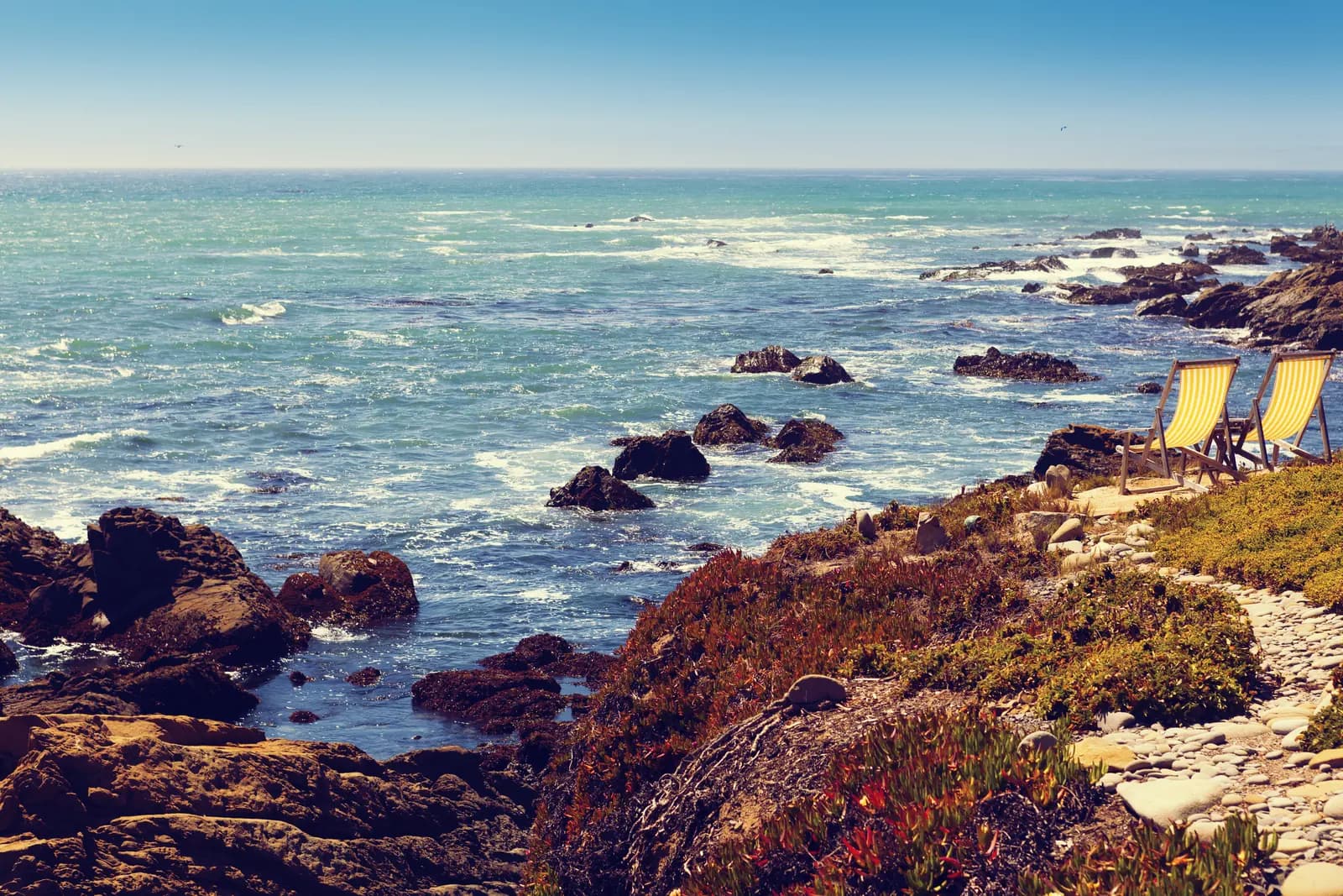 A rocky California shoreline beside low coastal vegetation