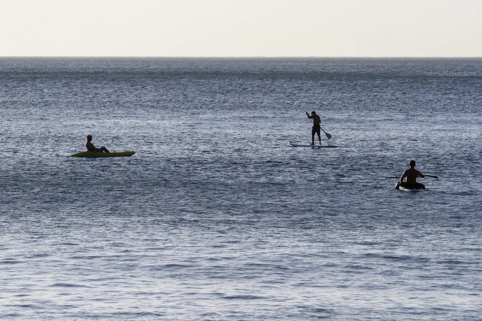 Paddleboarders crossing the water beneath a sunset sky