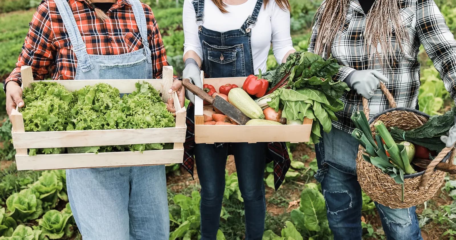 Farmers presenting an abundant selection of fresh produce