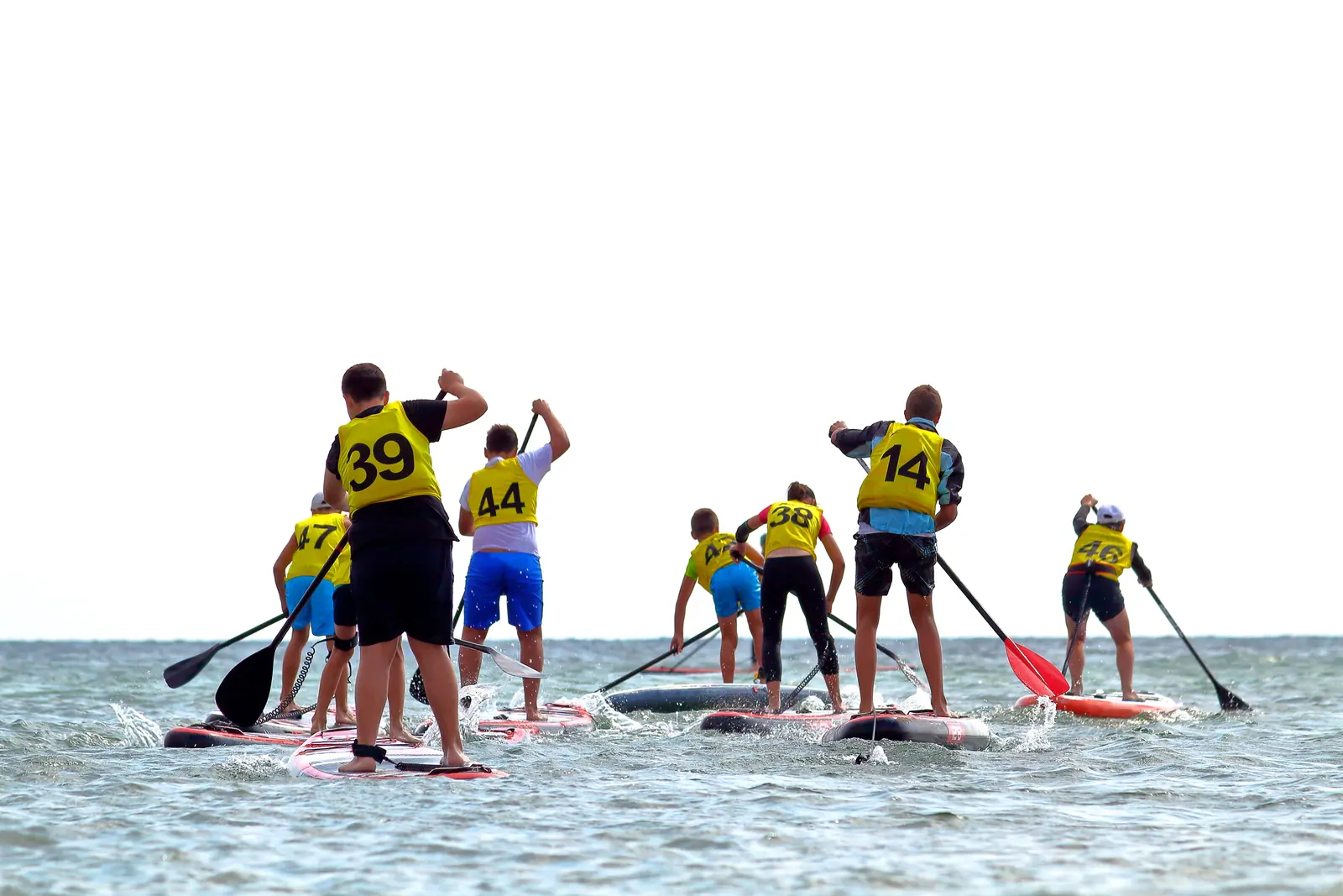 A group of paddleboarders crossing open coastal water