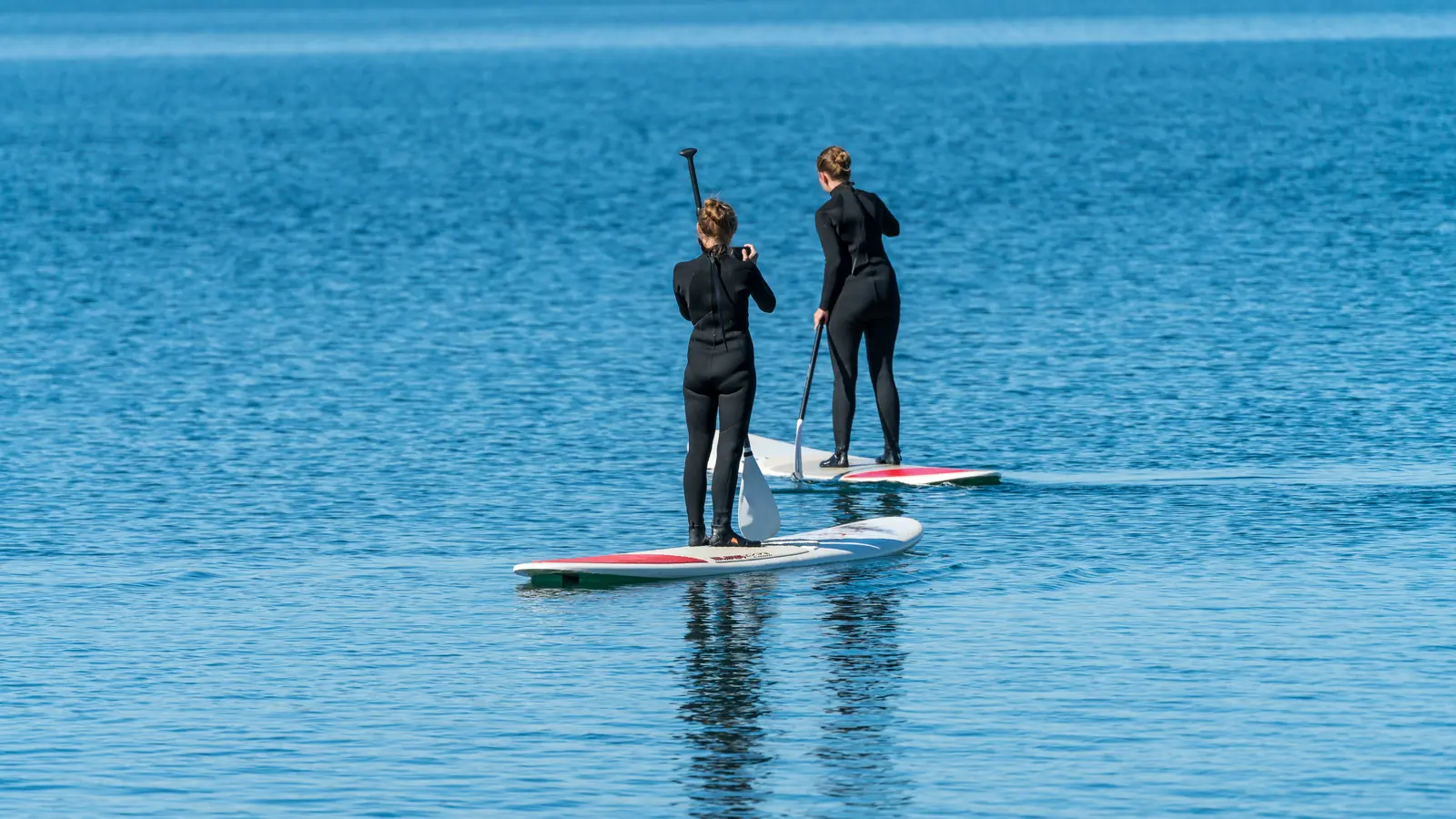 Two paddleboarders crossing the marina water