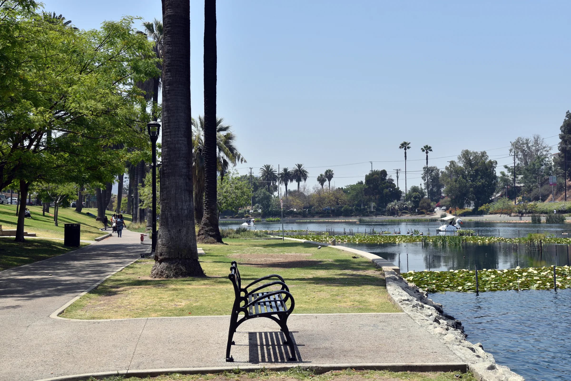 A palm-lined urban park path beside a calm pond