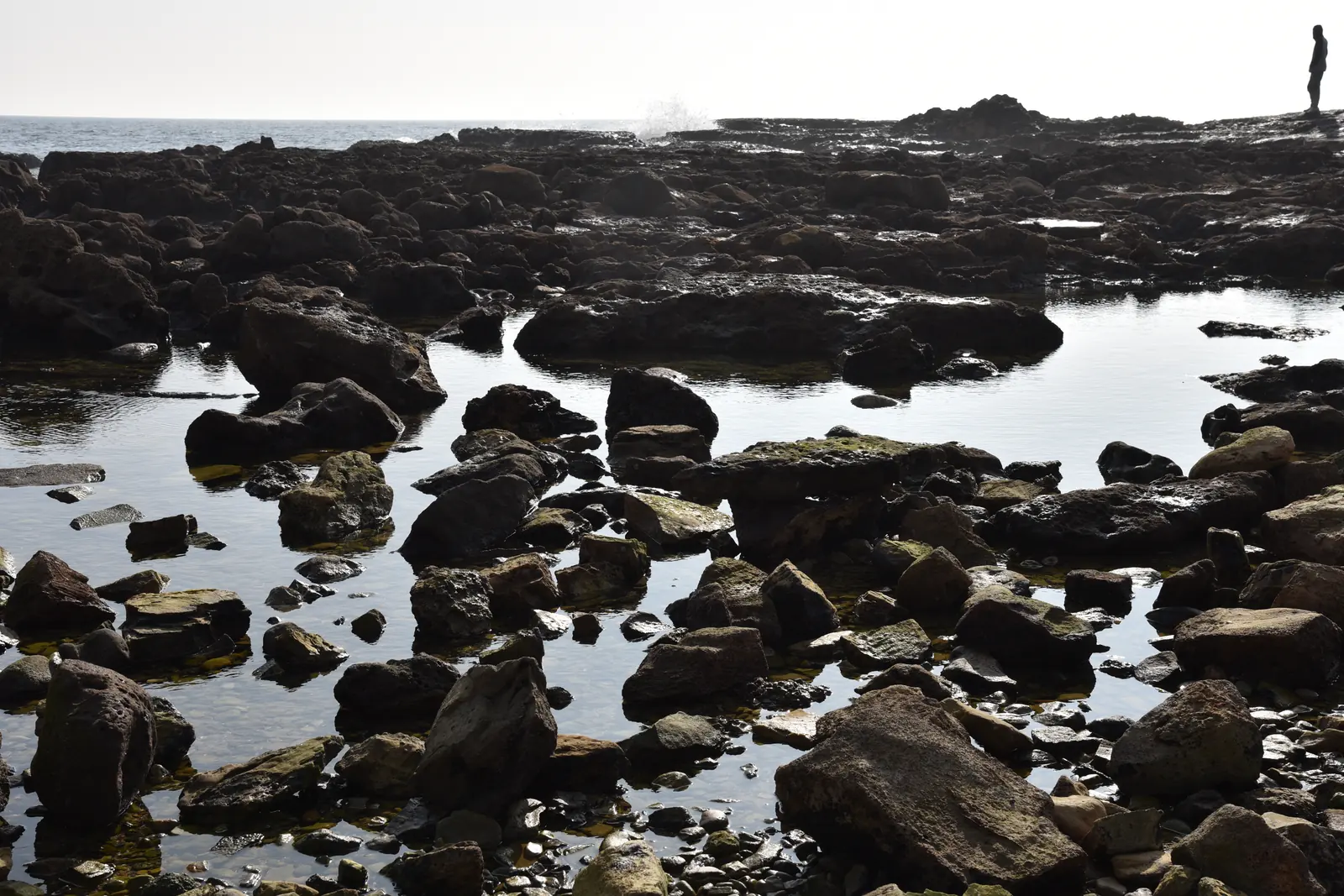 A visitor exploring Pacific tide pools along the South Bay coast