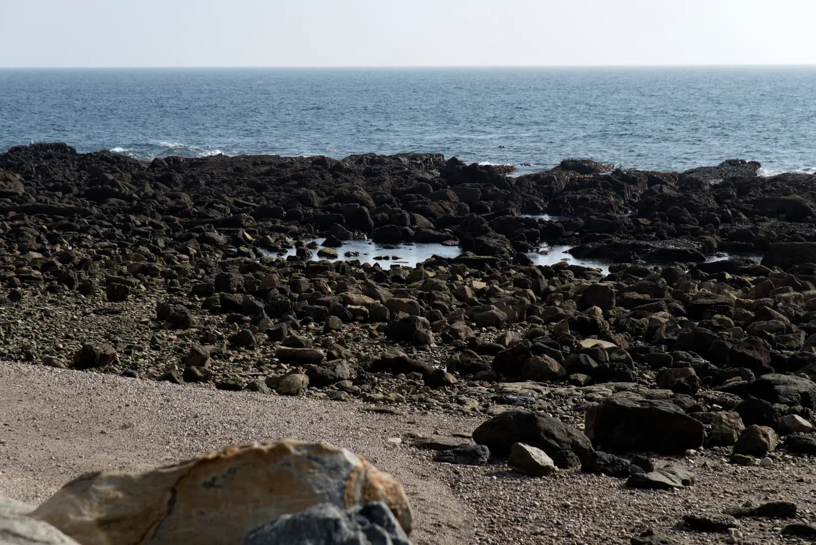 South Bay tide pools seen from a coastal overlook
