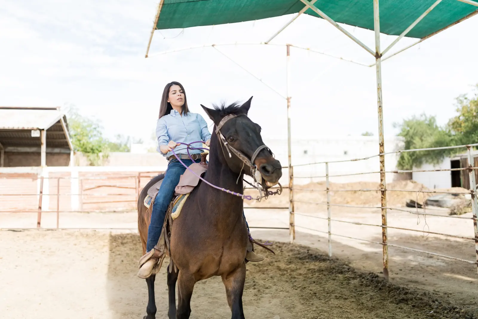 An equestrian practicing with a dark horse in an outdoor riding ring