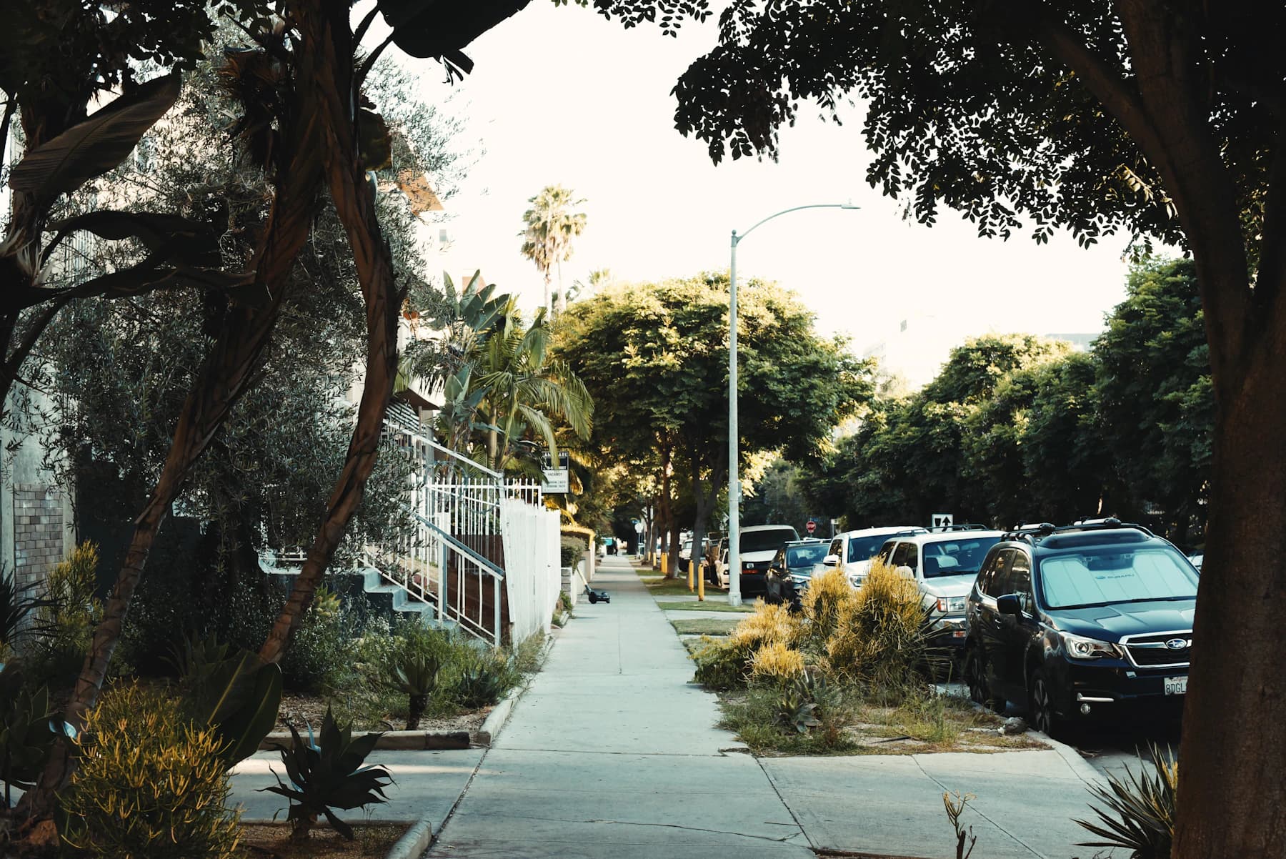 A shaded sidewalk bordered by low-rise Los Angeles homes