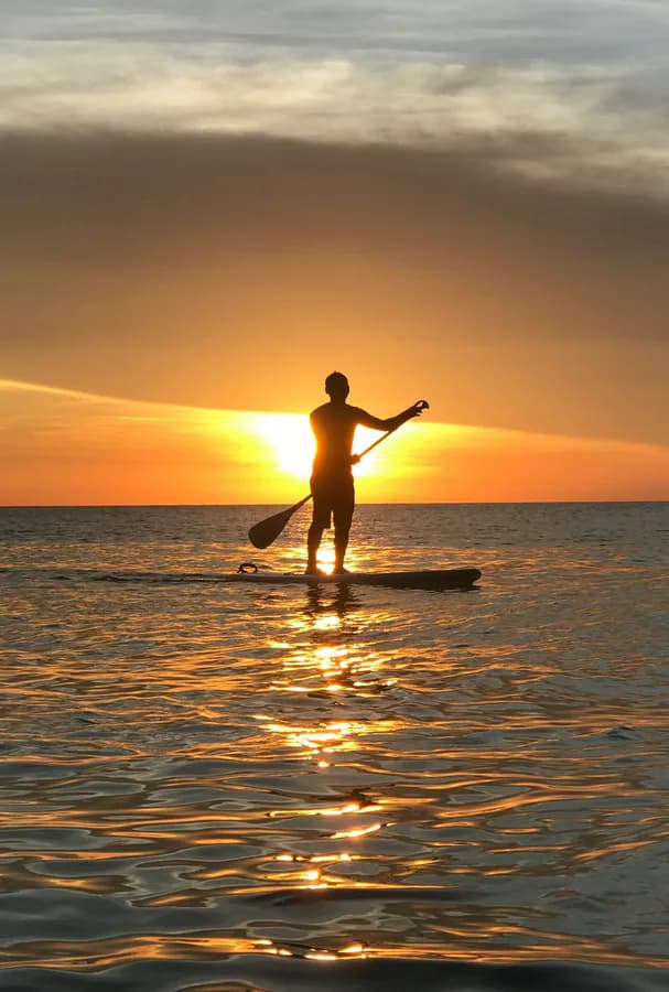 A stand-up paddleboarder silhouetted at sunset