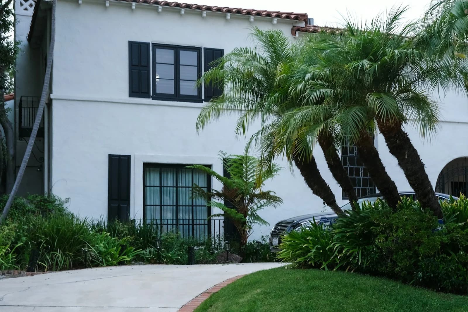 A white stucco home framed by palms and deep green planting