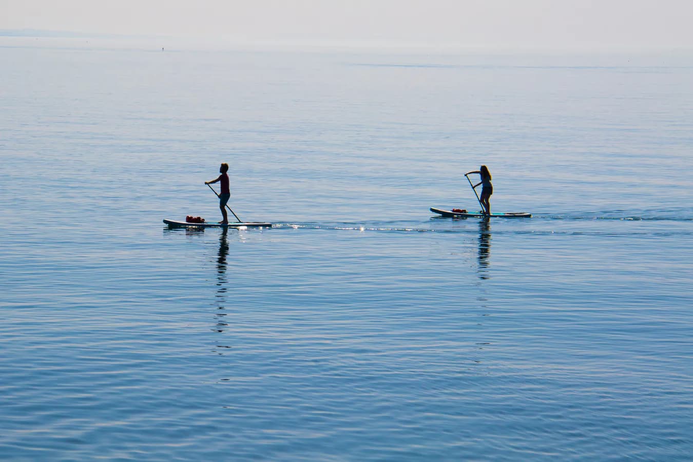 Two paddleboarders moving across calm open water