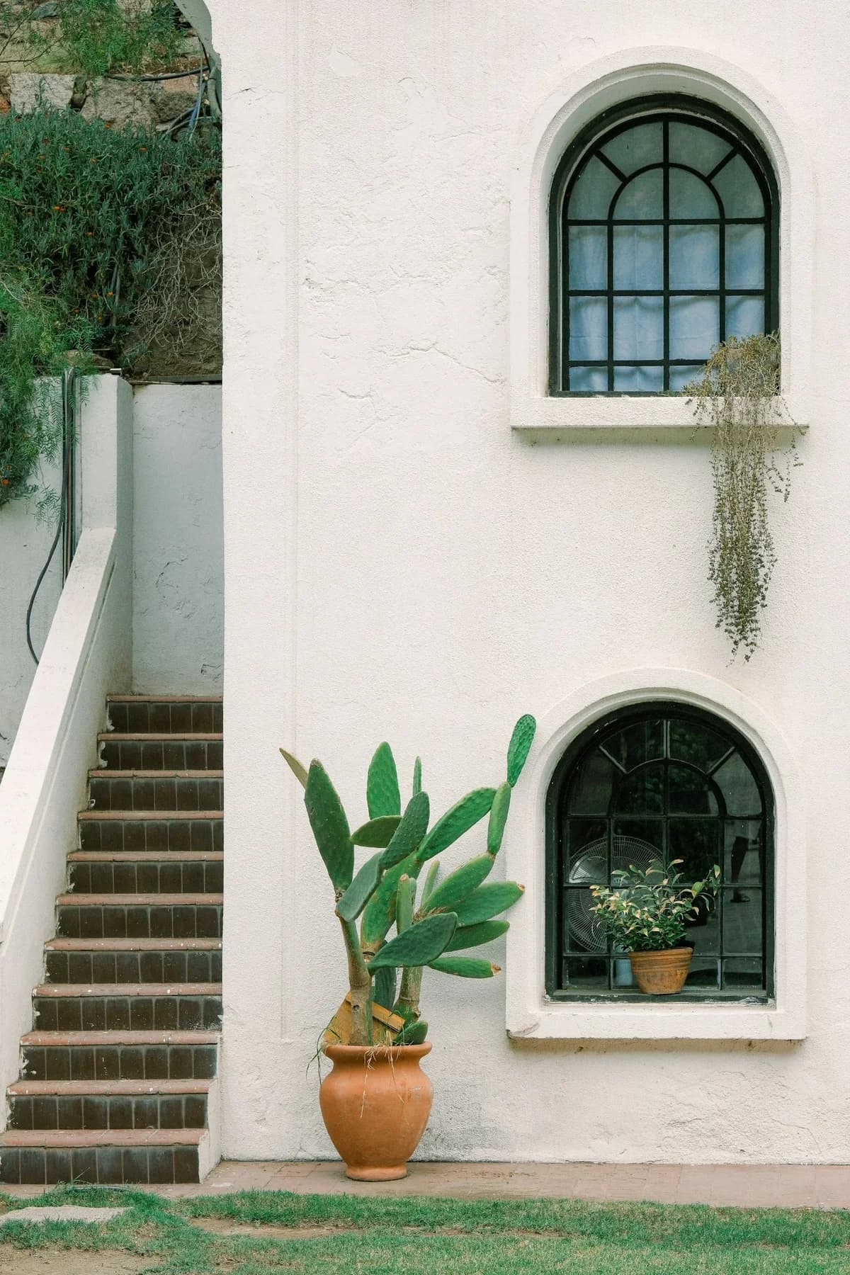 White stucco architecture with tall arched windows and garden pots