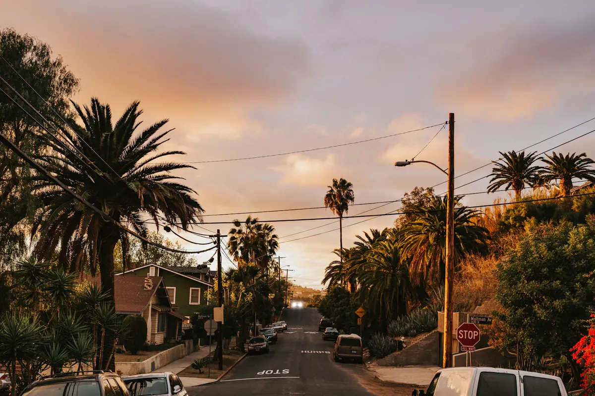 Palm-lined Southern California residential street
